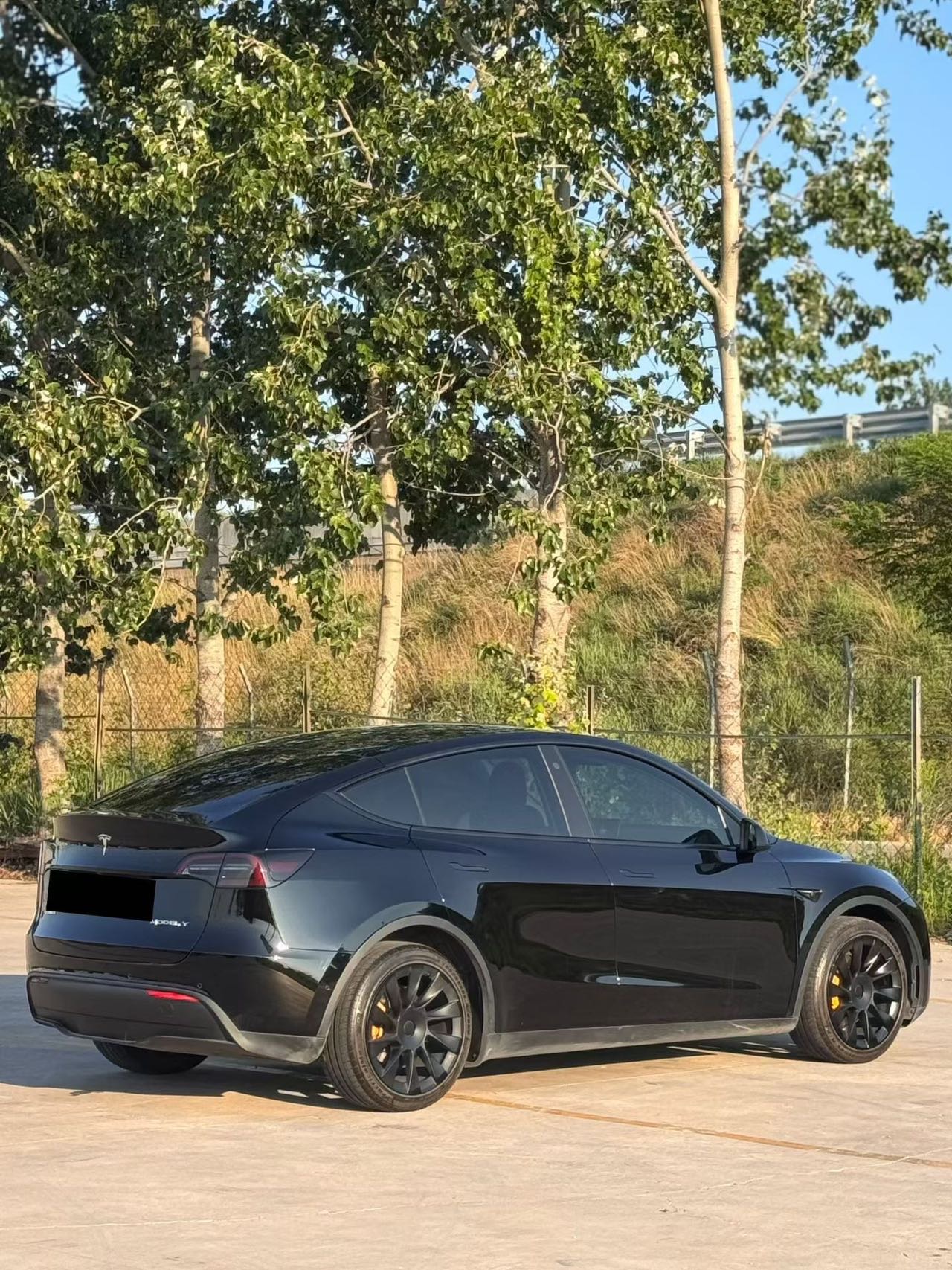 Tesla Model Y 2021 car image #9