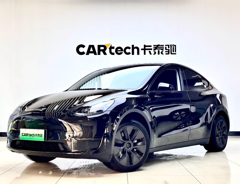 Tesla Model Y 2022 car image 