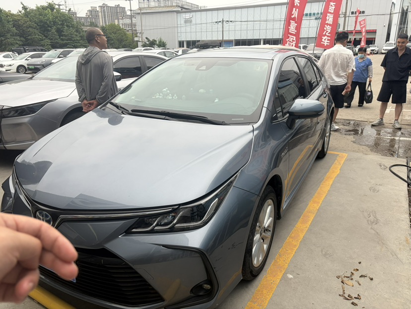Toyota Corolla 2022 Toyota Corolla 2022 car image
