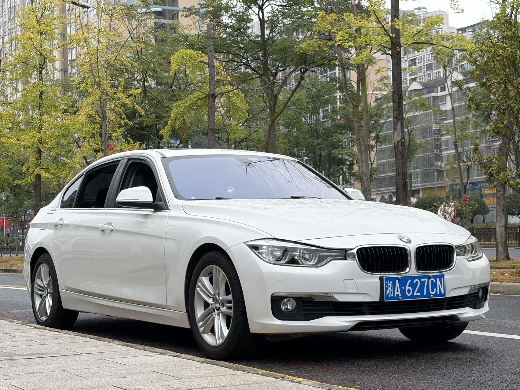 BMW 3 Series 2017 car image #3