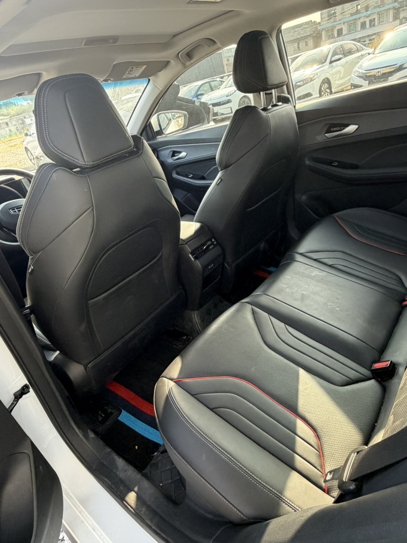 GEELY Binray 2024 immagine di auto #6