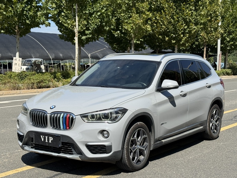 BMW X1 2017 car image 