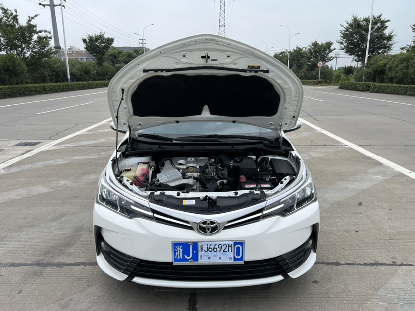 Toyota Corolla 2019 #3 Toyota Corolla 2019 car image #3