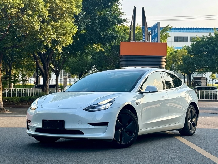 Tesla Model 3 2020 car image 