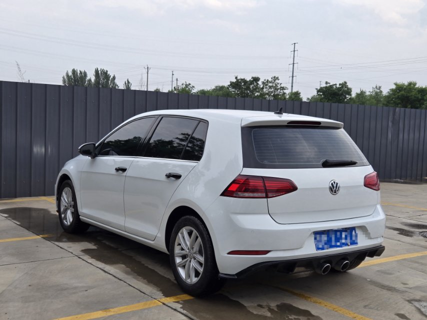 Volkswagen Golf 2019 #6 Volkswagen Golf 2019 car image #6