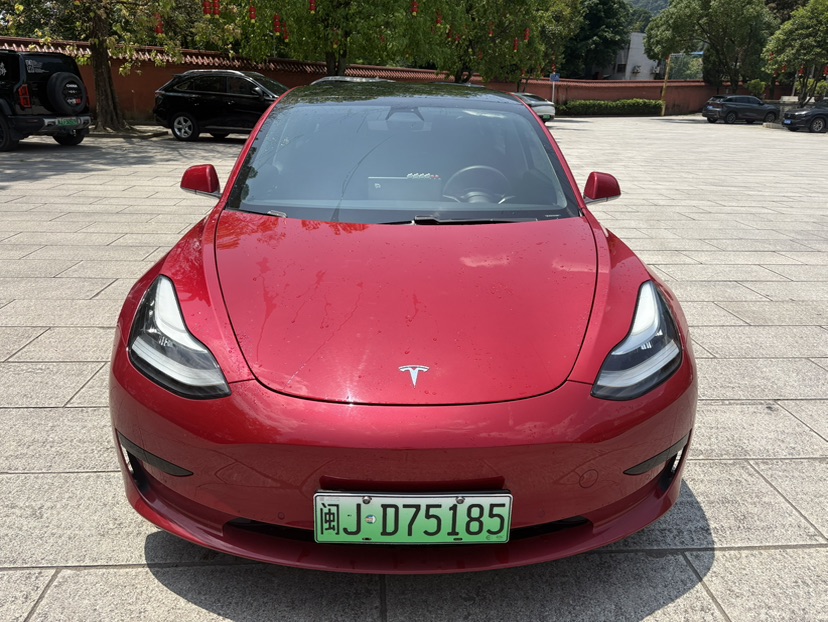 Tesla Model 3 2021 #3 Tesla Model 3 2021 car image #3