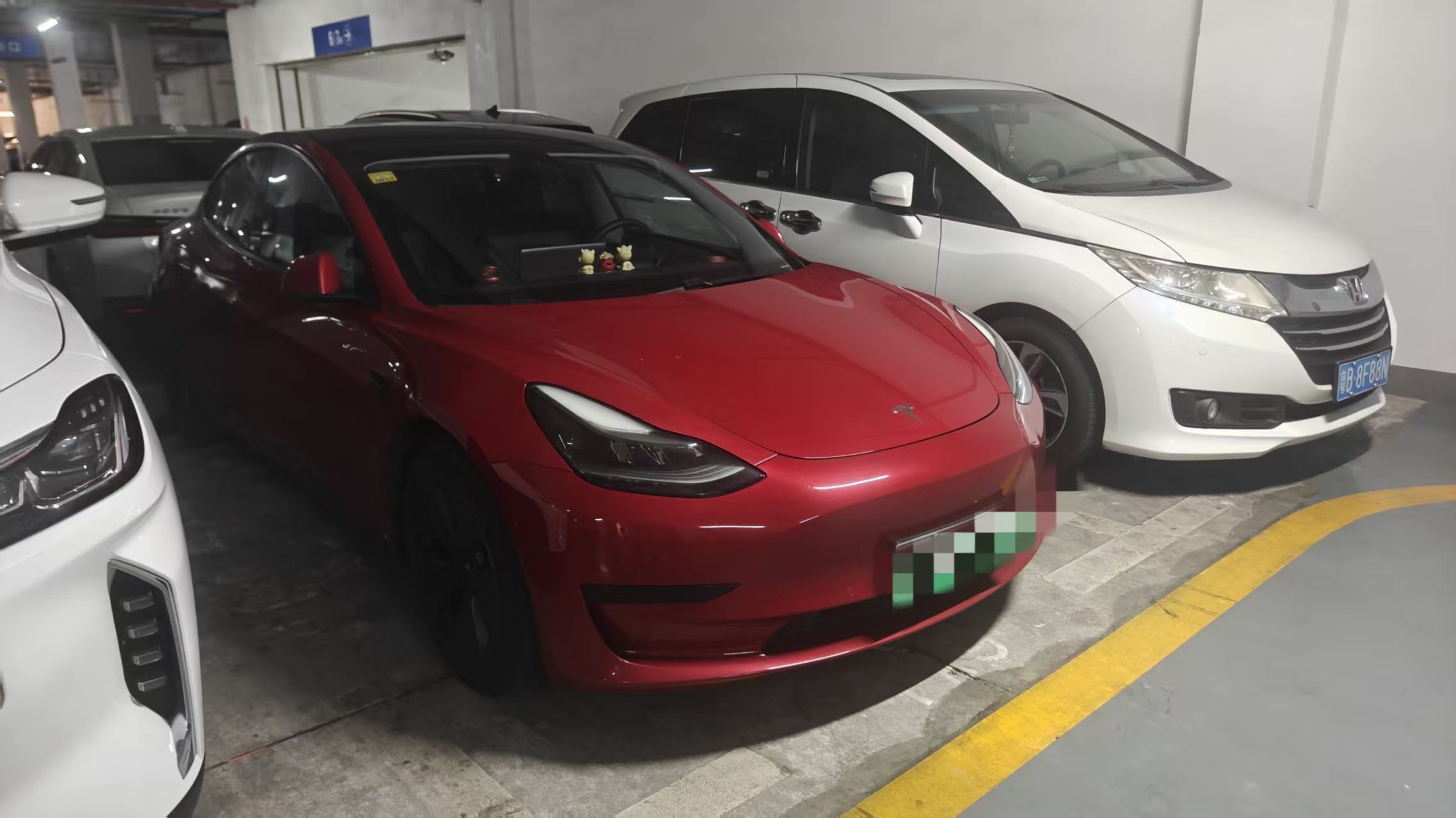 Tesla Model 3 2021 Tesla Model 3 2021 car image