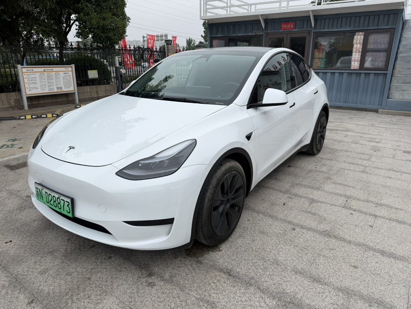 Tesla Model Y 2024 car image 