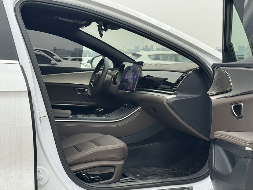 BYD Han 2022 immagine di auto #9