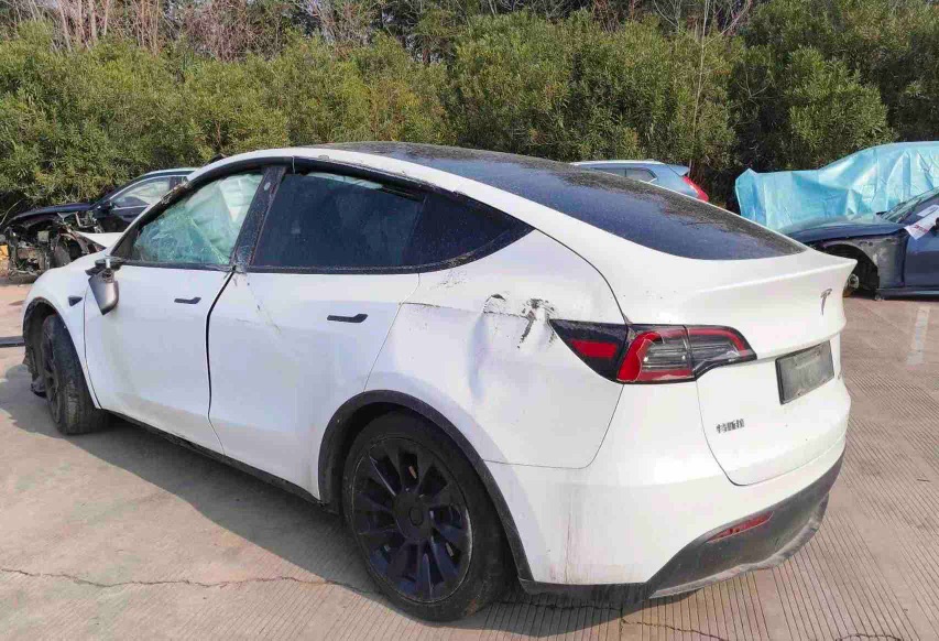Tesla Model Y 2021 #13 Tesla Model Y 2021 car image #13