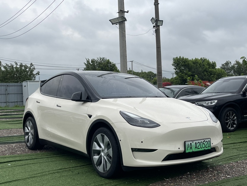 Tesla Model Y 2021 car image #3