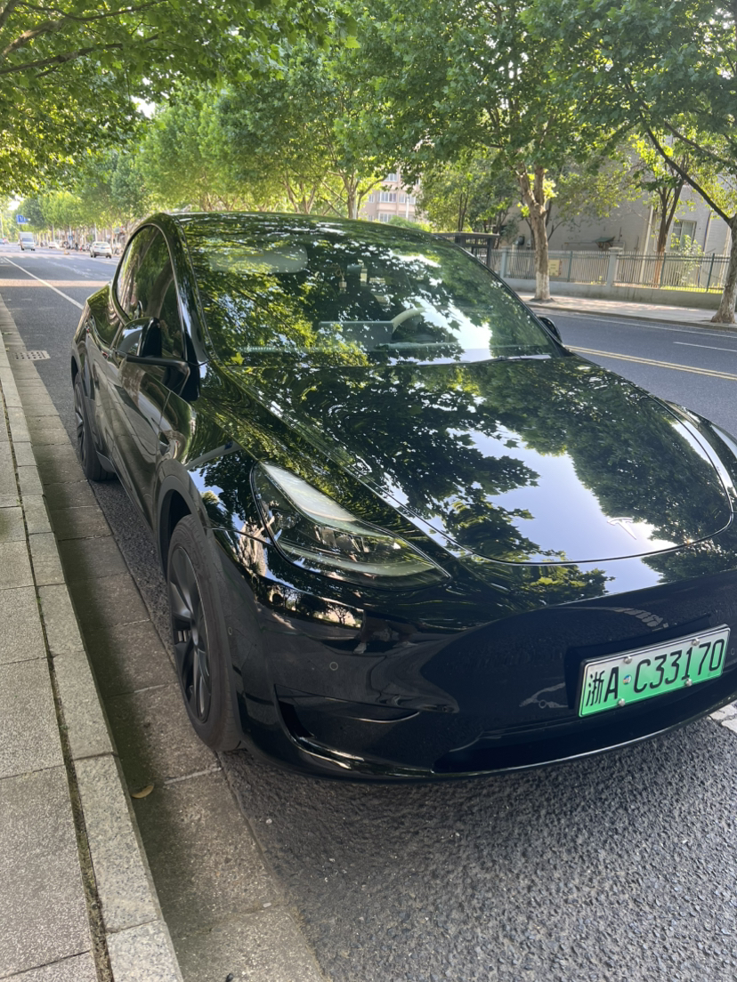 Tesla Model Y 2024 #6 Tesla Model Y 2024 car image #6