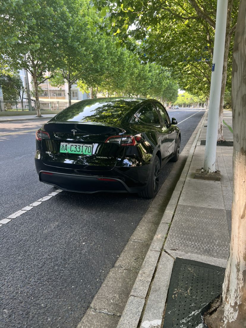 Tesla Model Y 2024 #2 Tesla Model Y 2024 car image #2