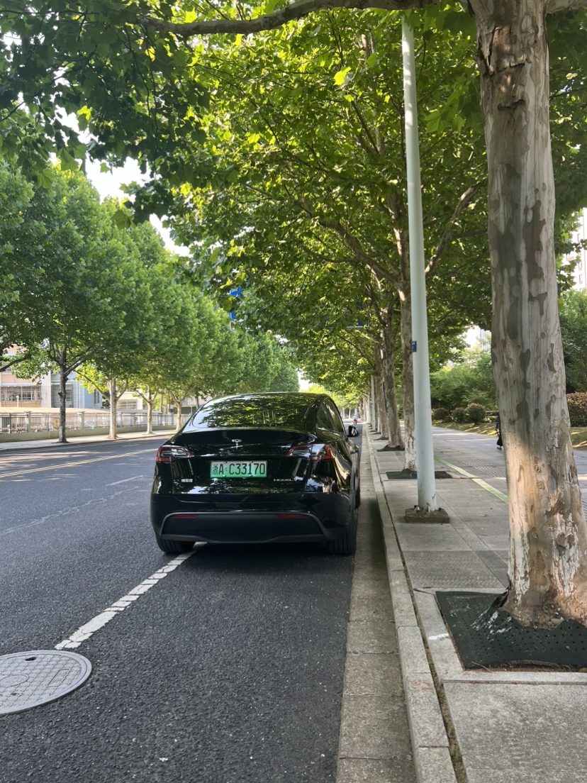 Tesla Model Y 2024 #3 Tesla Model Y 2024 car image #3