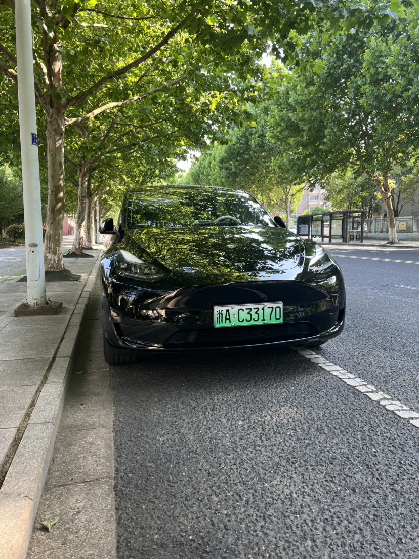 Tesla Model Y 2024 #4 Tesla Model Y 2024 car image #4