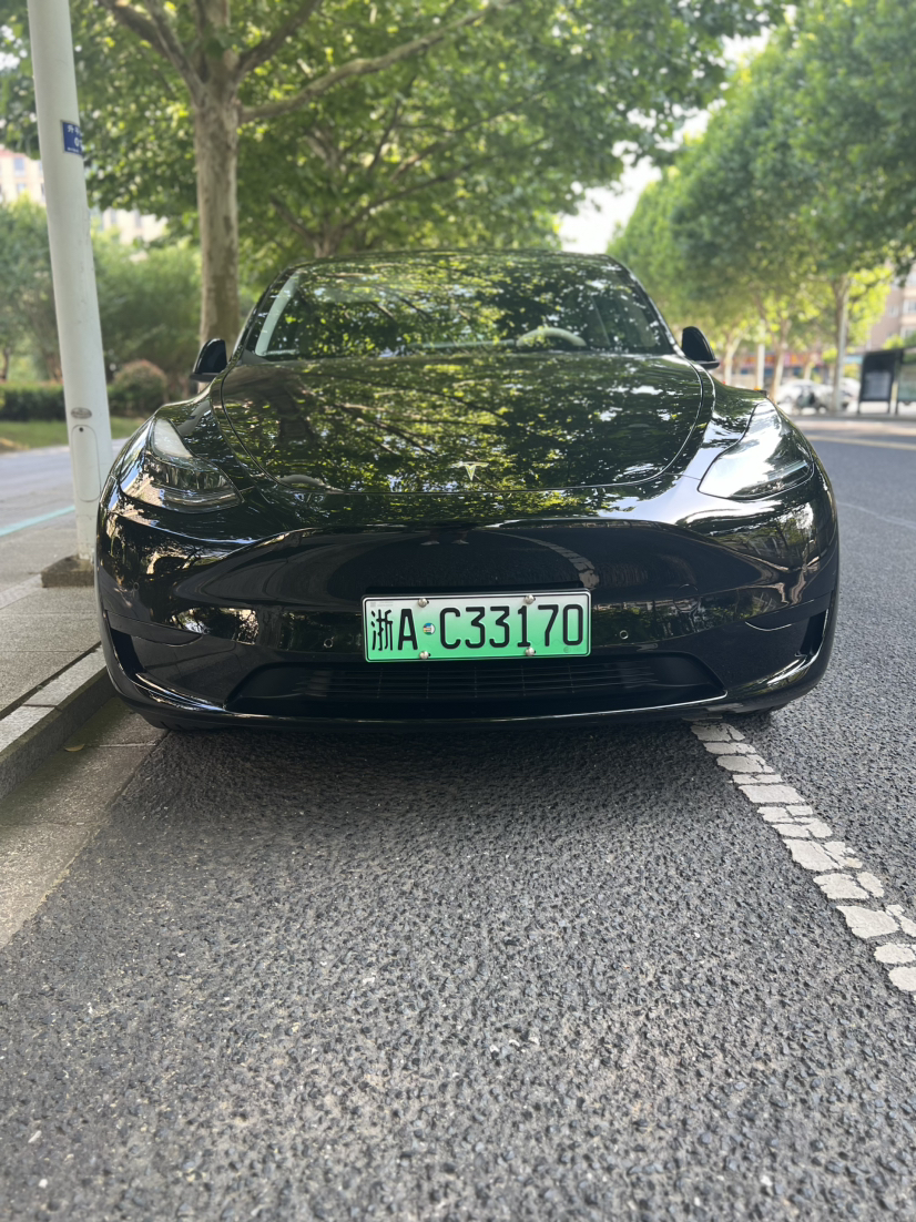 Tesla Model Y 2024 Tesla Model Y 2024 car image