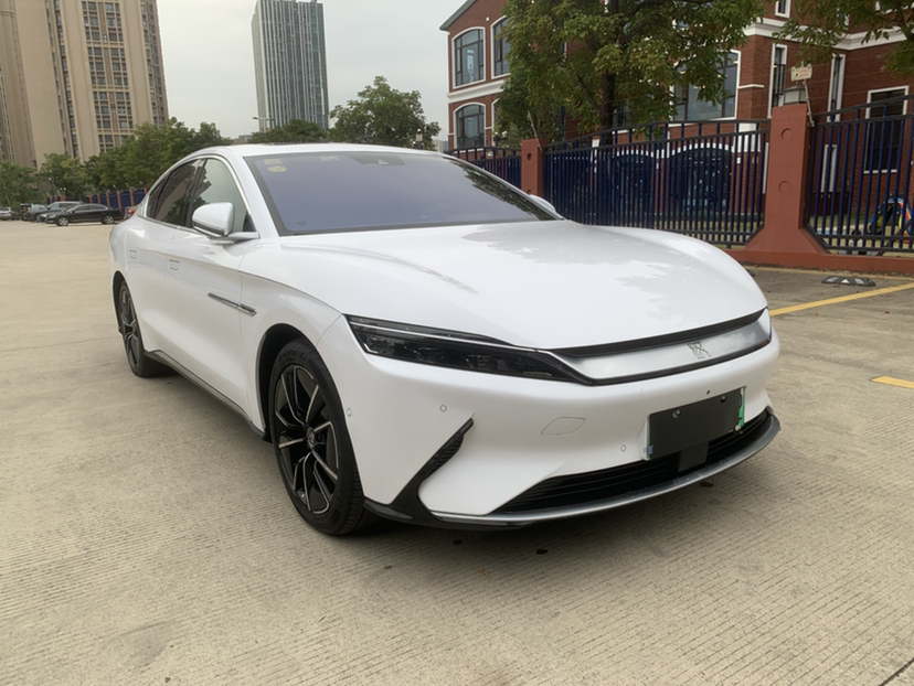 BYD Han 2021 immagine di auto #2