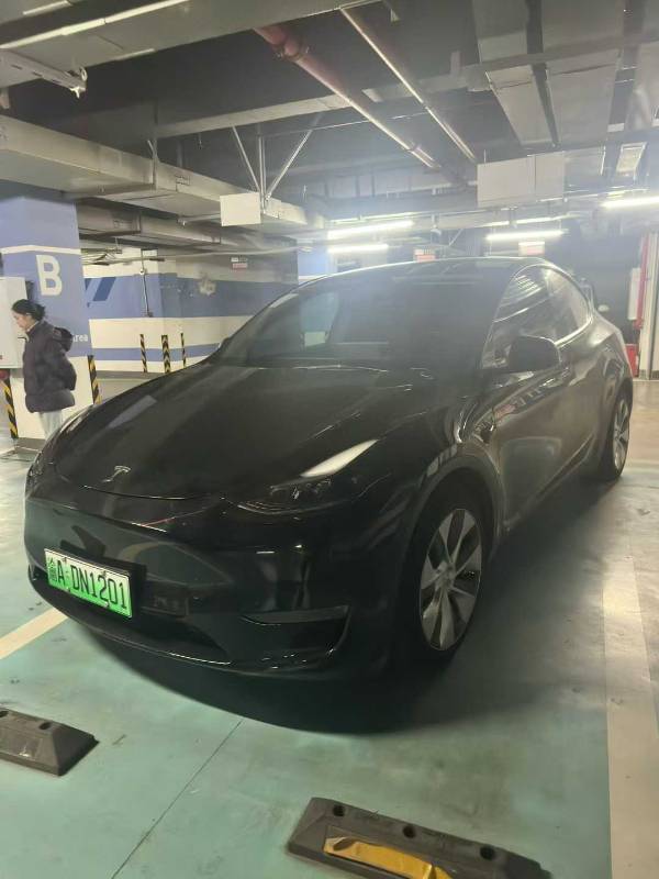 Tesla Model Y 2021 car image 