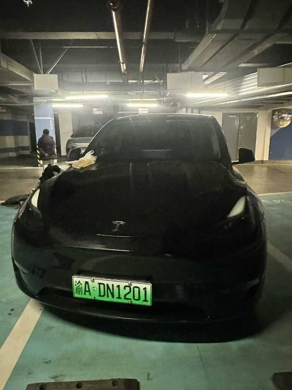 Tesla Model Y 2021 car image #2