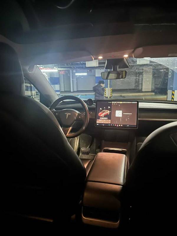 Tesla Model Y 2021 car image #9