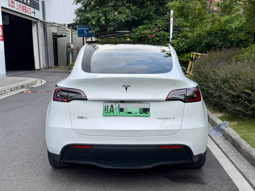 Tesla Model Y 2024 car image #9