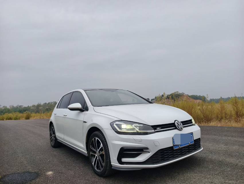 Volkswagen Golf 2019 car image #2