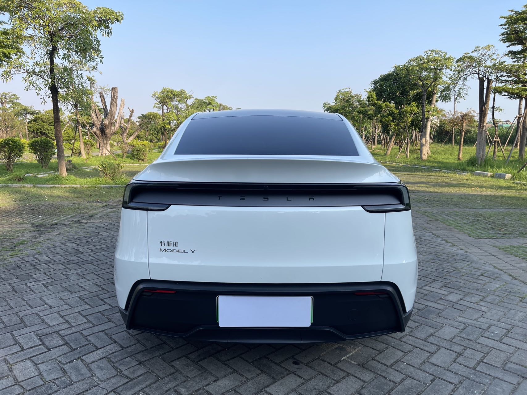Tesla Model Y 2025 car image #10