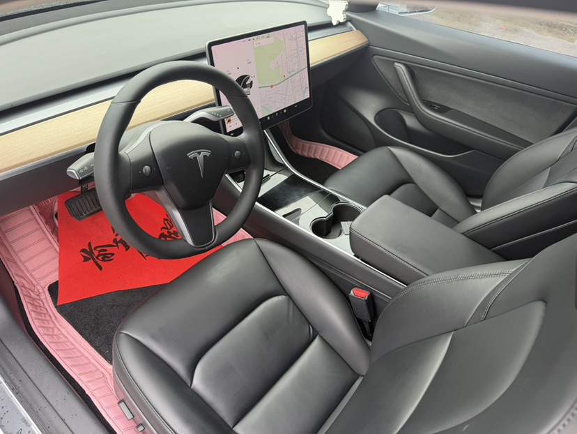 Tesla Model 3 2020 immagine di auto #5
