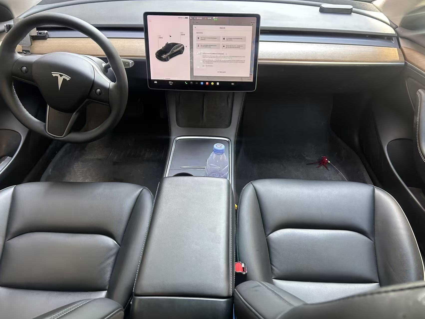 Tesla Model 3 2021 car image #8