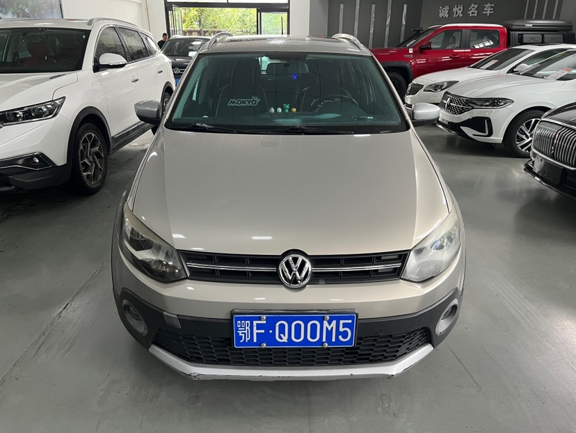 Volkswagen Polo 2013 car image #2