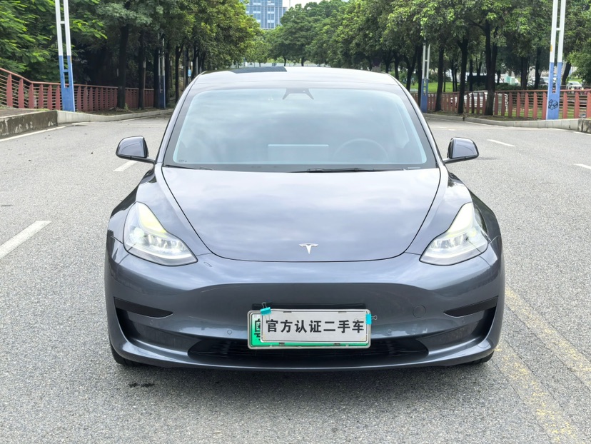 Tesla Model 3 2021 #2 Tesla Model 3 2021 car image #2