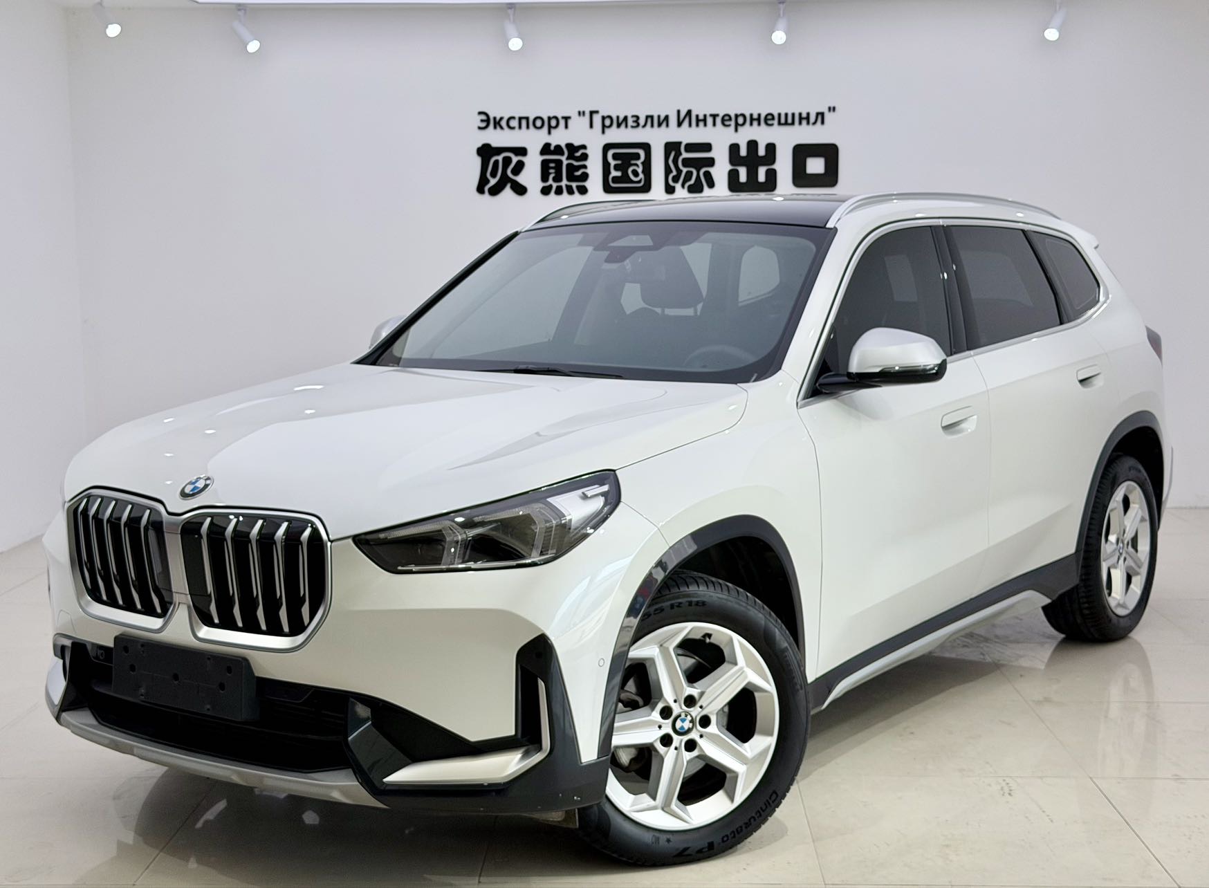 BMW X1 2024 car image 