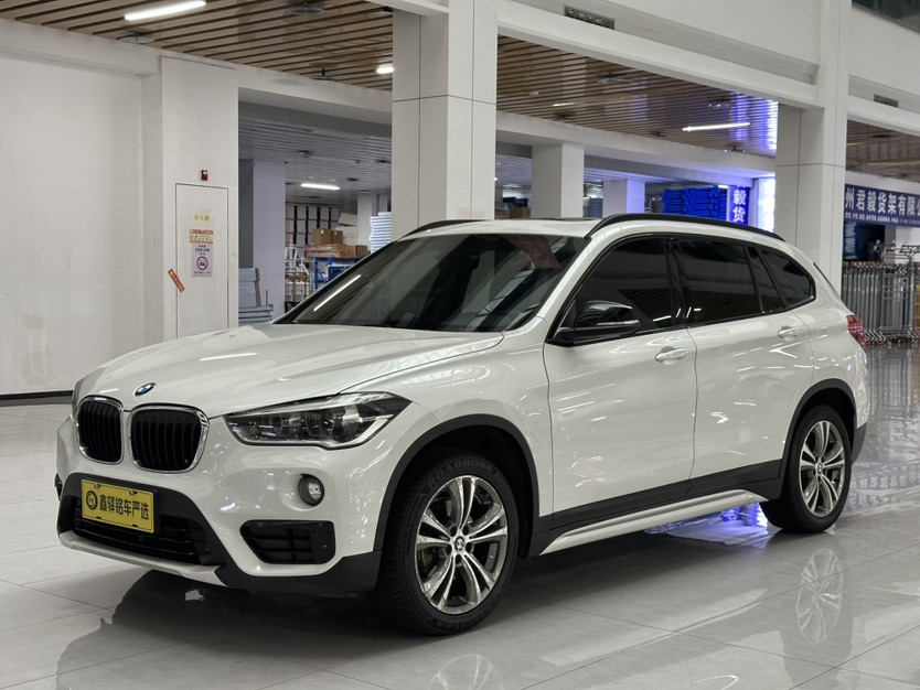 BMW X1 2019 car image 