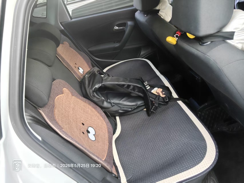 Volkswagen Polo 2018 car image #8