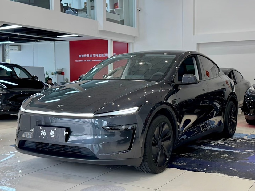 Tesla Model Y 2025 car image 