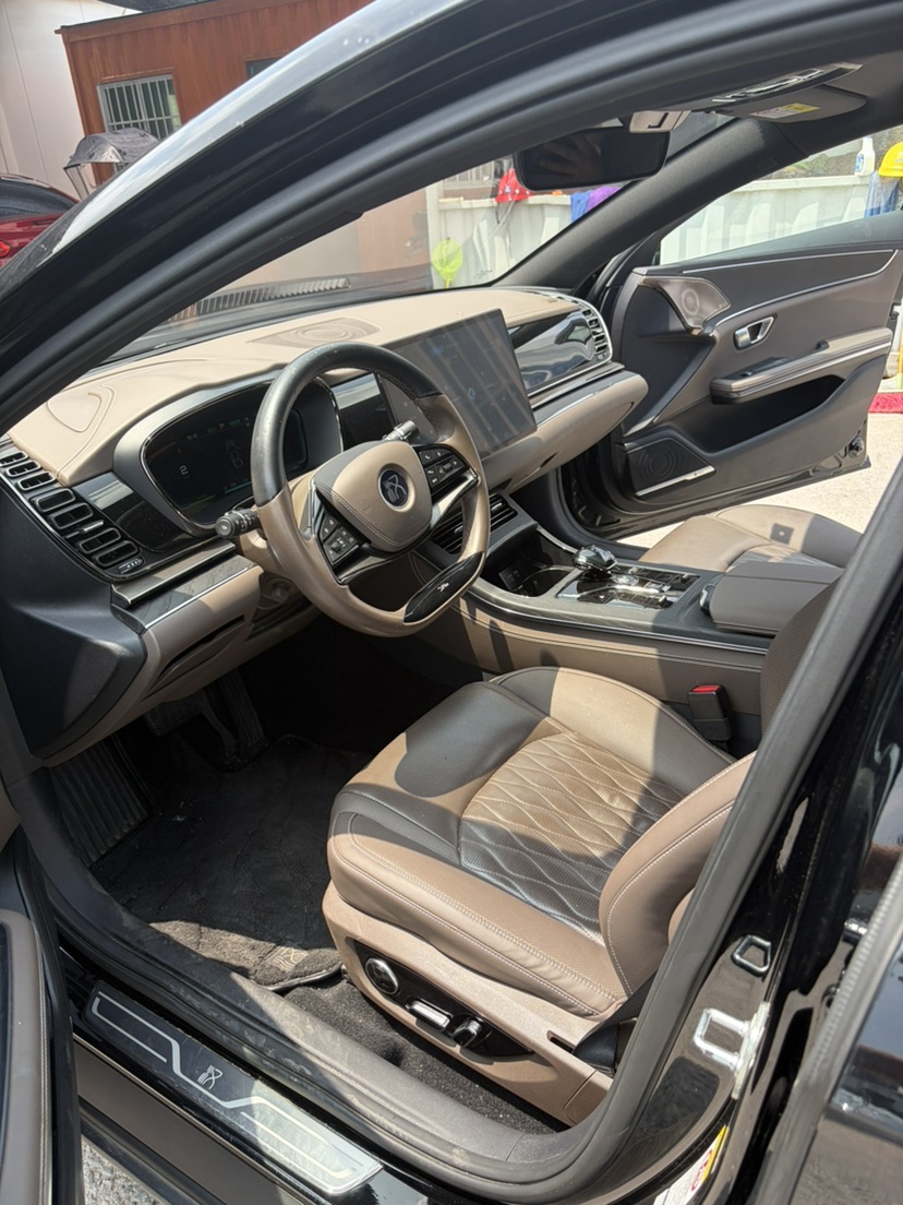 BYD Han 2021 immagine di auto #7