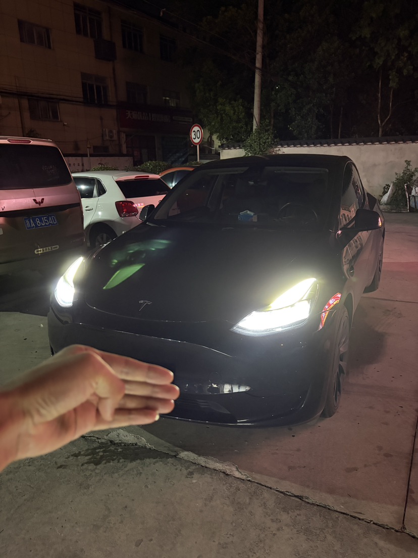 Tesla Model Y 2022 Tesla Model Y 2022 car image
