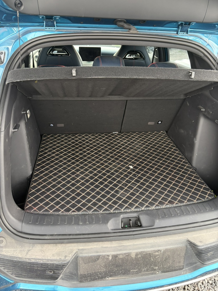 BYD Yuan Plus 2022 #7 BYD Yuan Plus 2022 car image #7