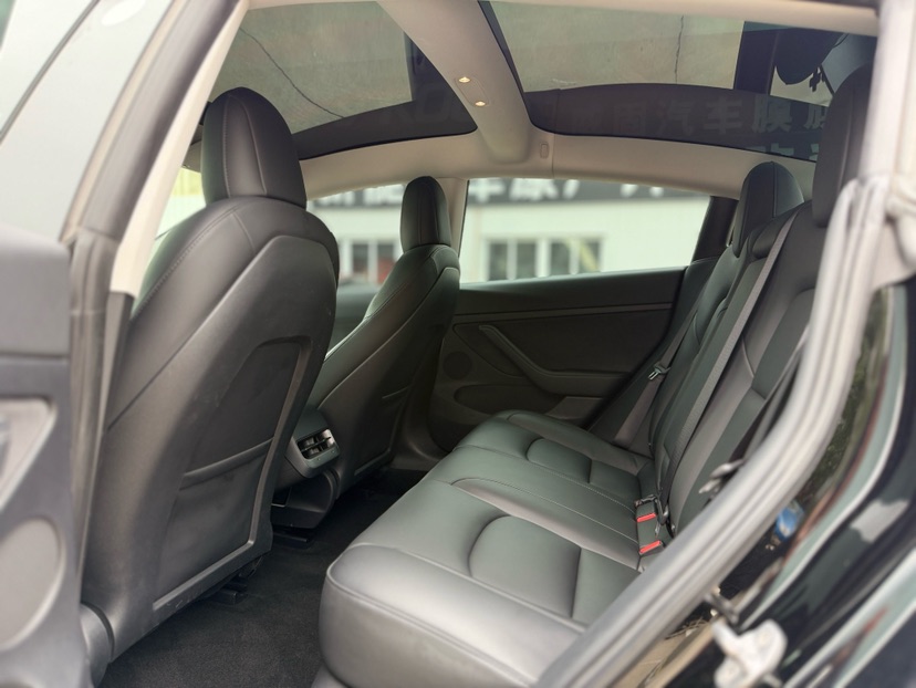 Tesla Model 3 2021 car image #8
