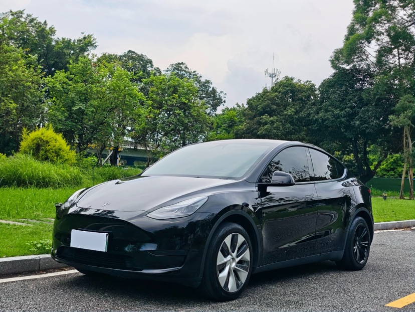 Tesla Model Y 2023 car image 