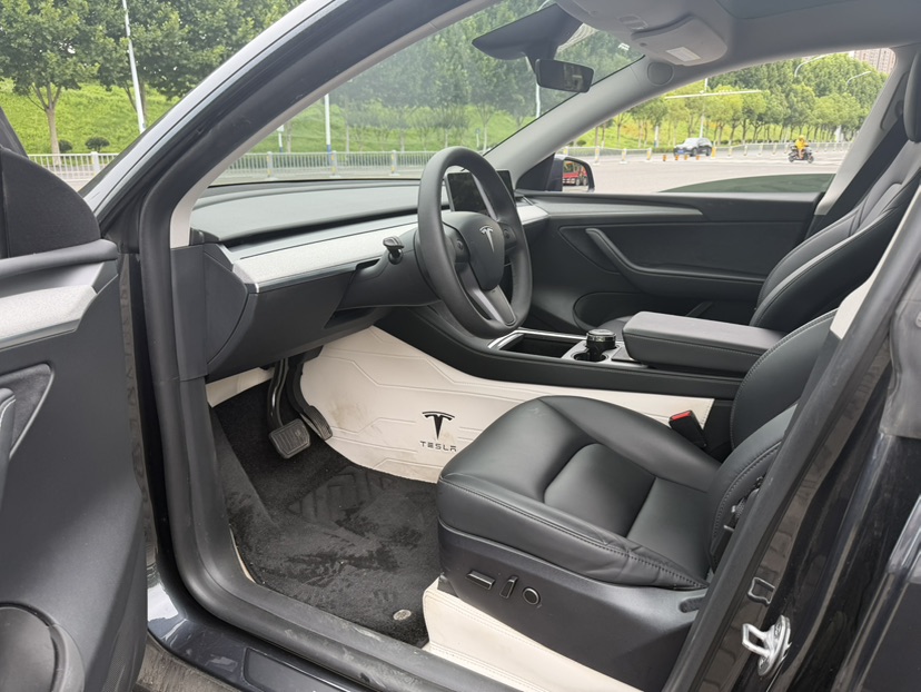Tesla Model Y 2024 car image #4