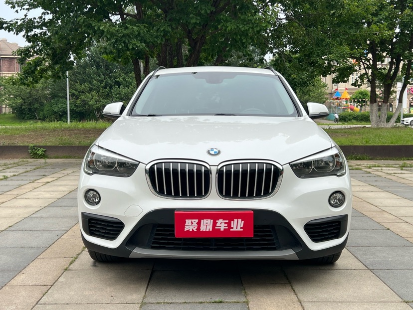 BMW X1 2019 car image #2