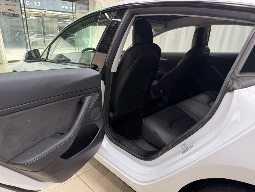 Tesla Model 3 2021 #6 Tesla Model 3 2021 car image #6