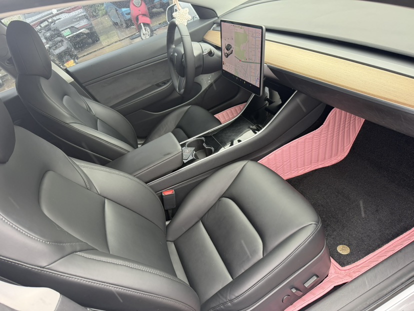 Tesla Model 3 2020 immagine di auto #8
