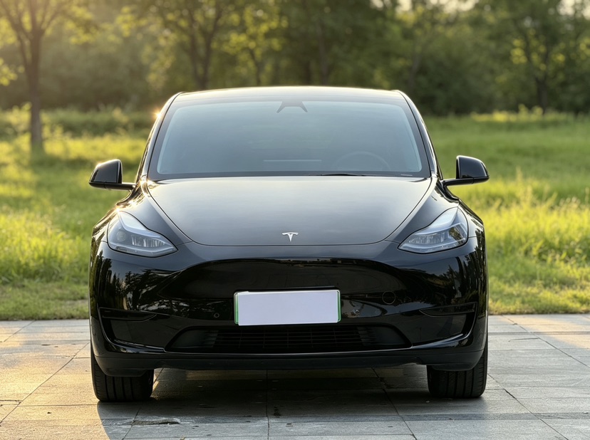 Tesla Model Y 2023 #2 Tesla Model Y 2023 car image #2