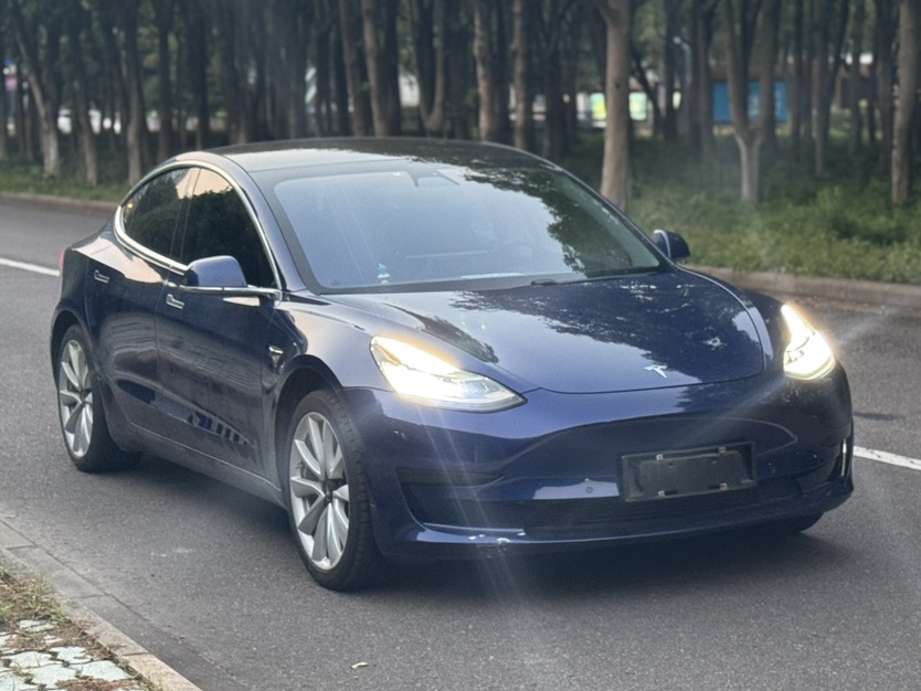 Tesla Model 3 2020 imagem de carro #2