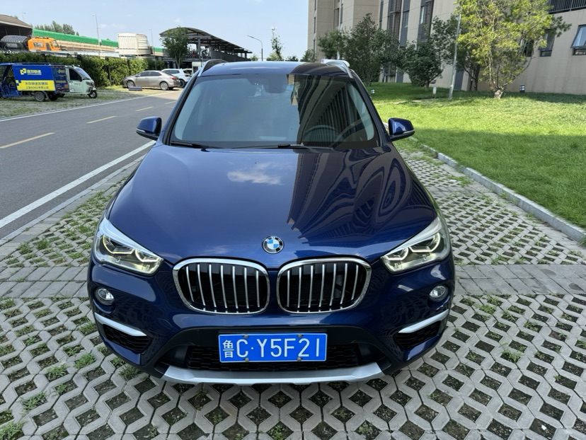 BMW X1 2019 BMW X1 2019 car image