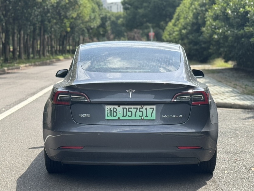 Tesla Model 3 2020 изображение автомобиля #8