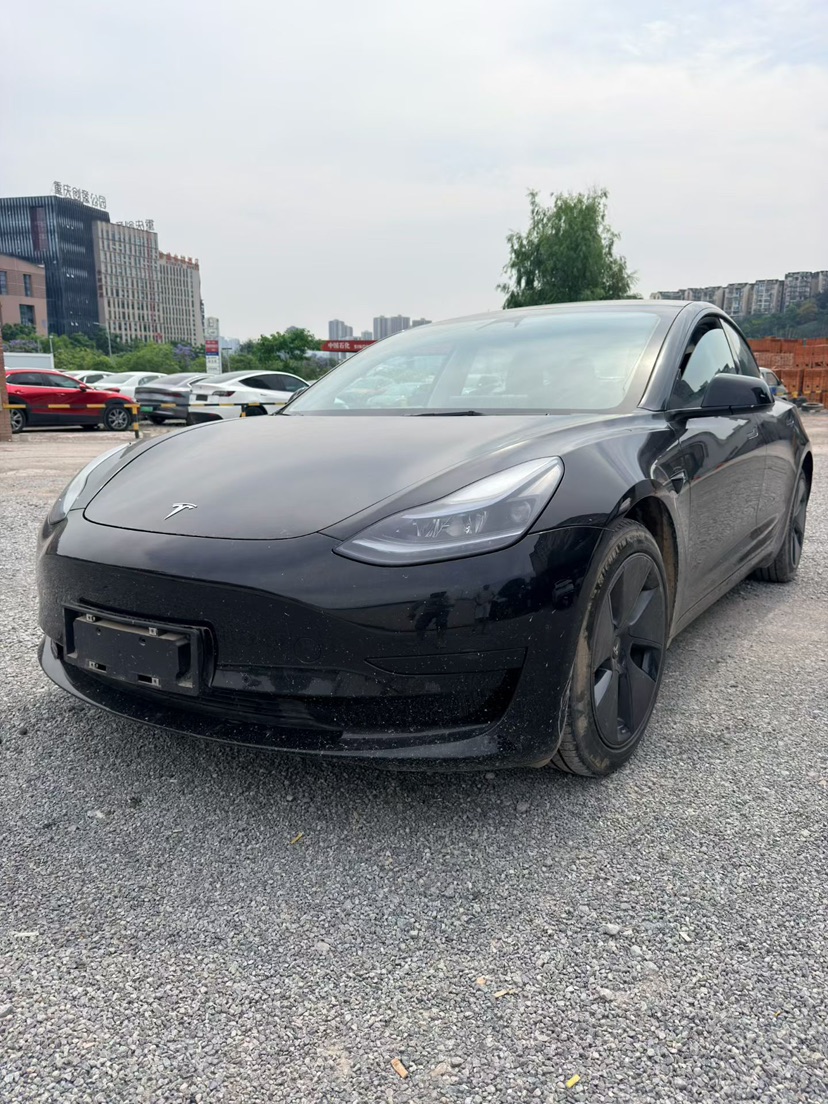 Tesla Model 3 2023 immagine di auto 