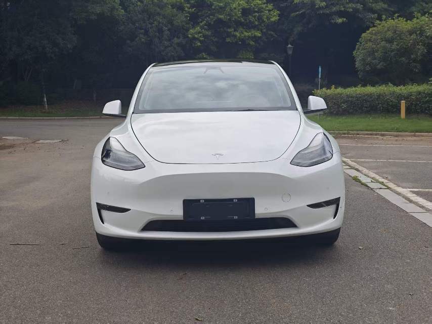 Tesla Model Y 2021 car image #2